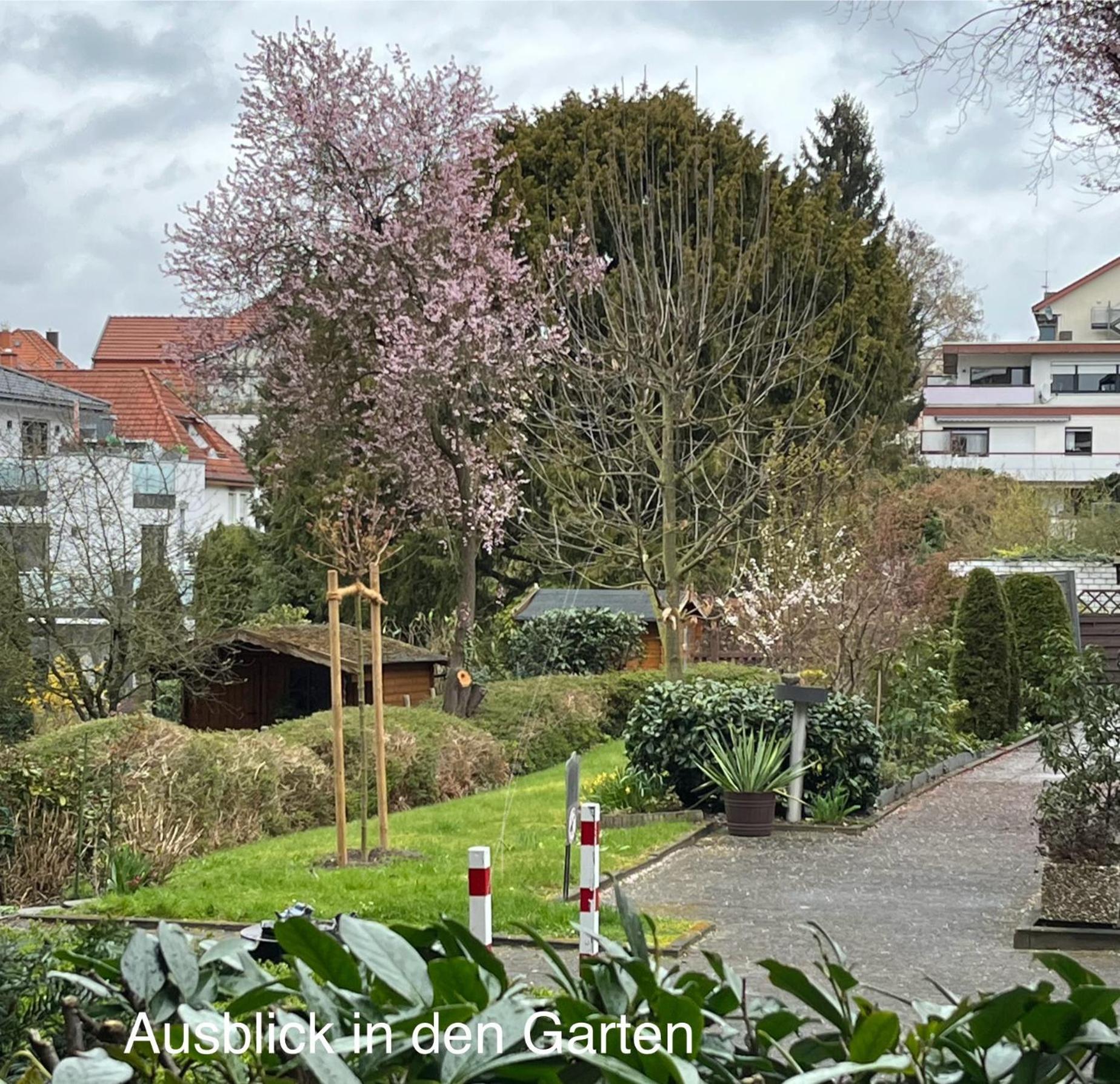 Appartementresidenz Am Kurpark - Mit Pool&sauna - Apartment *